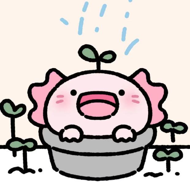 六角恐龙专业户源头直发