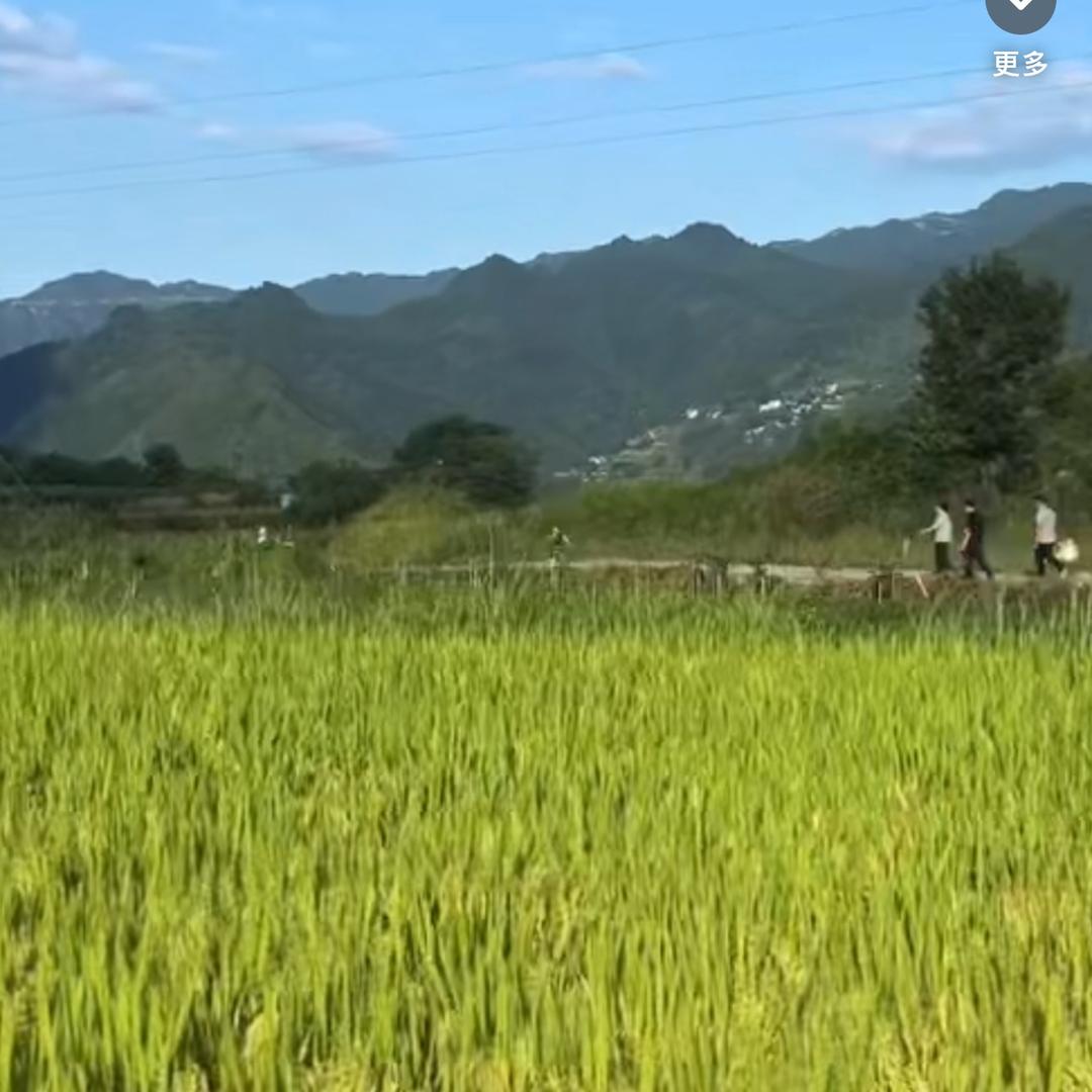 Tang👨‍❤️‍👨