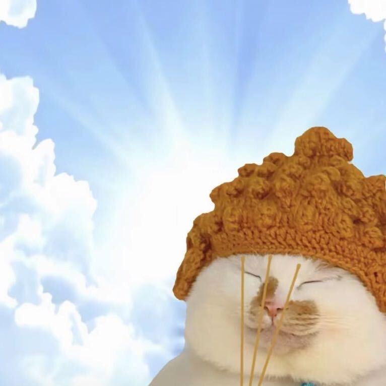 一只毛驴（峡谷韩服双千）