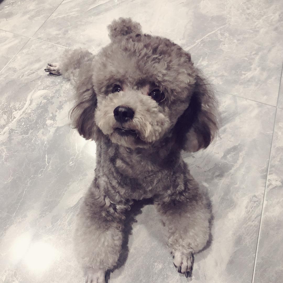 寶寶✨ ꦿ¹ᵌ¹⁴米💰满仓