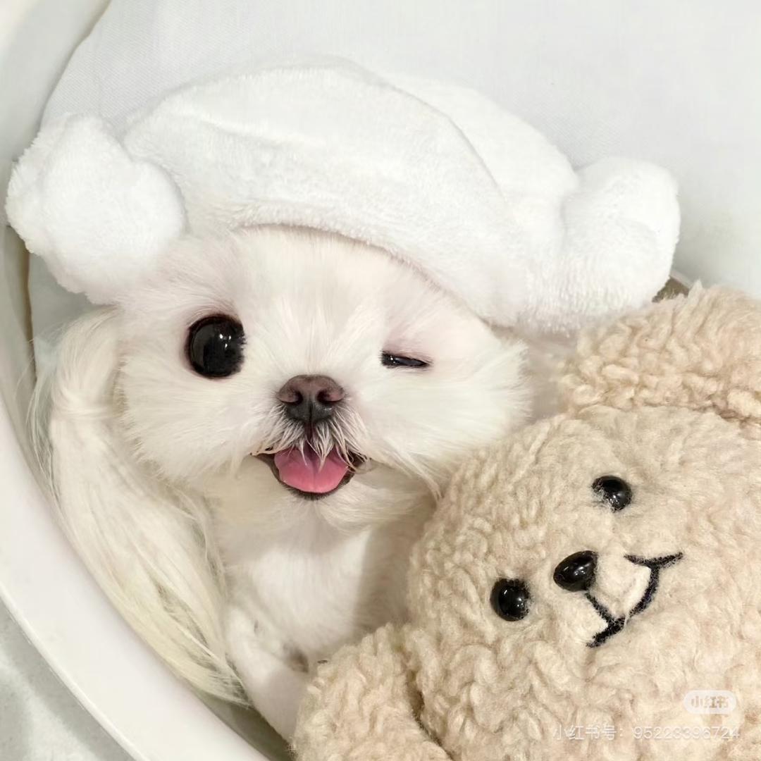 莹