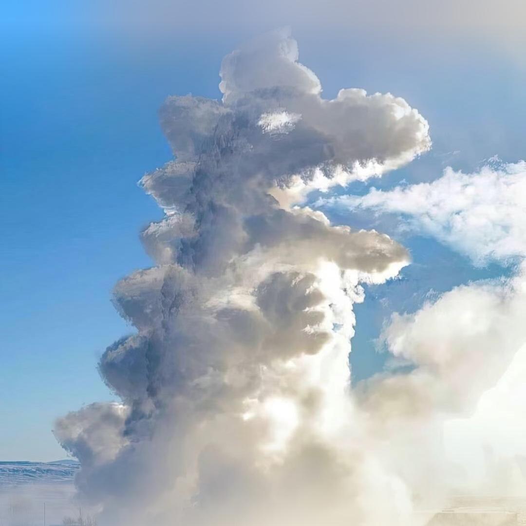去码头搞薯条🍟