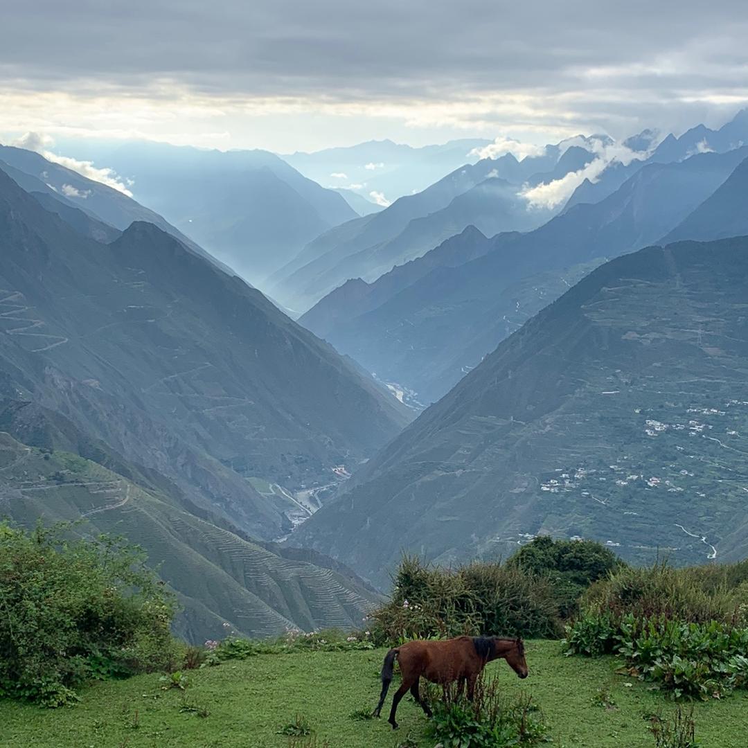 🌈手可摘星陈先生