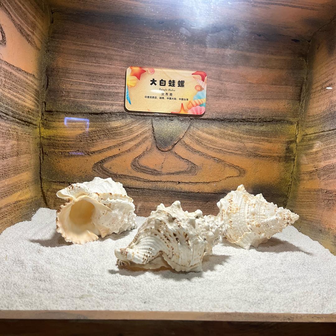 芋泥