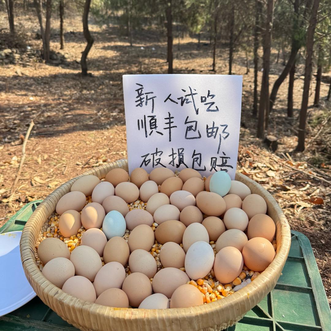 福南山农场