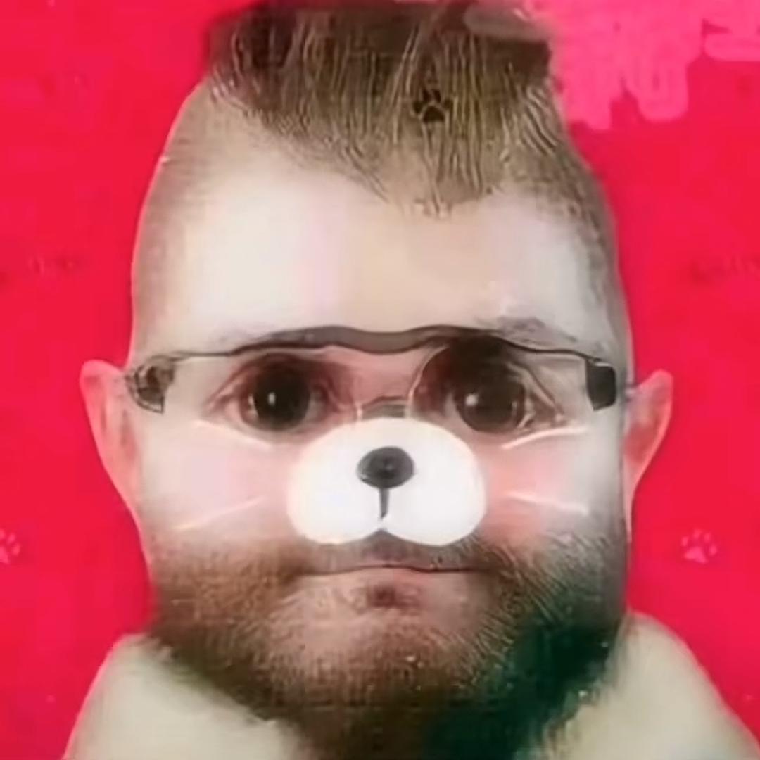 一头可爱呆萌的鸟兽兽