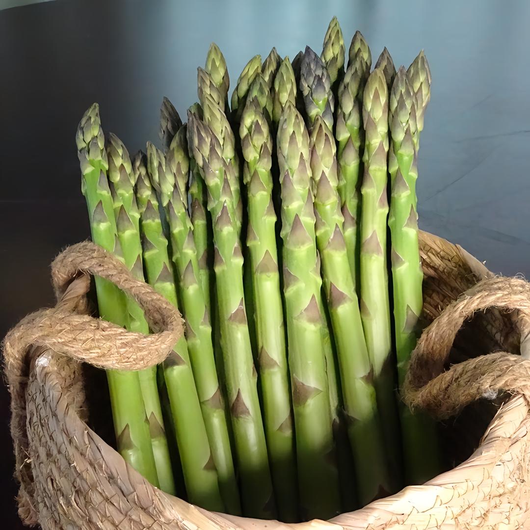 山东巨鑫源农业科技有限公司