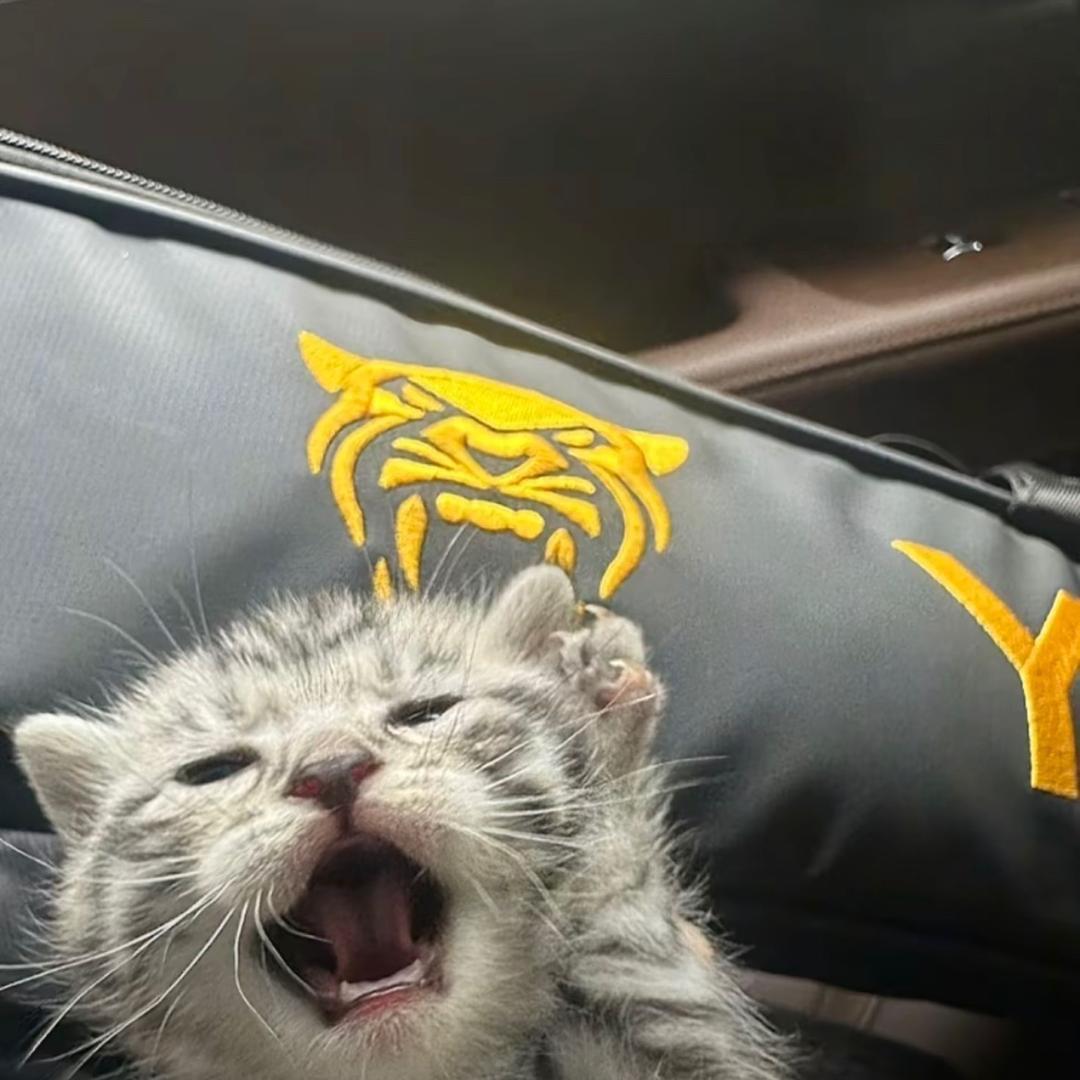 豆腐