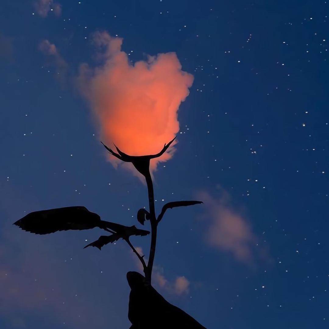 ‘’南晚⁵²⁰  ོ