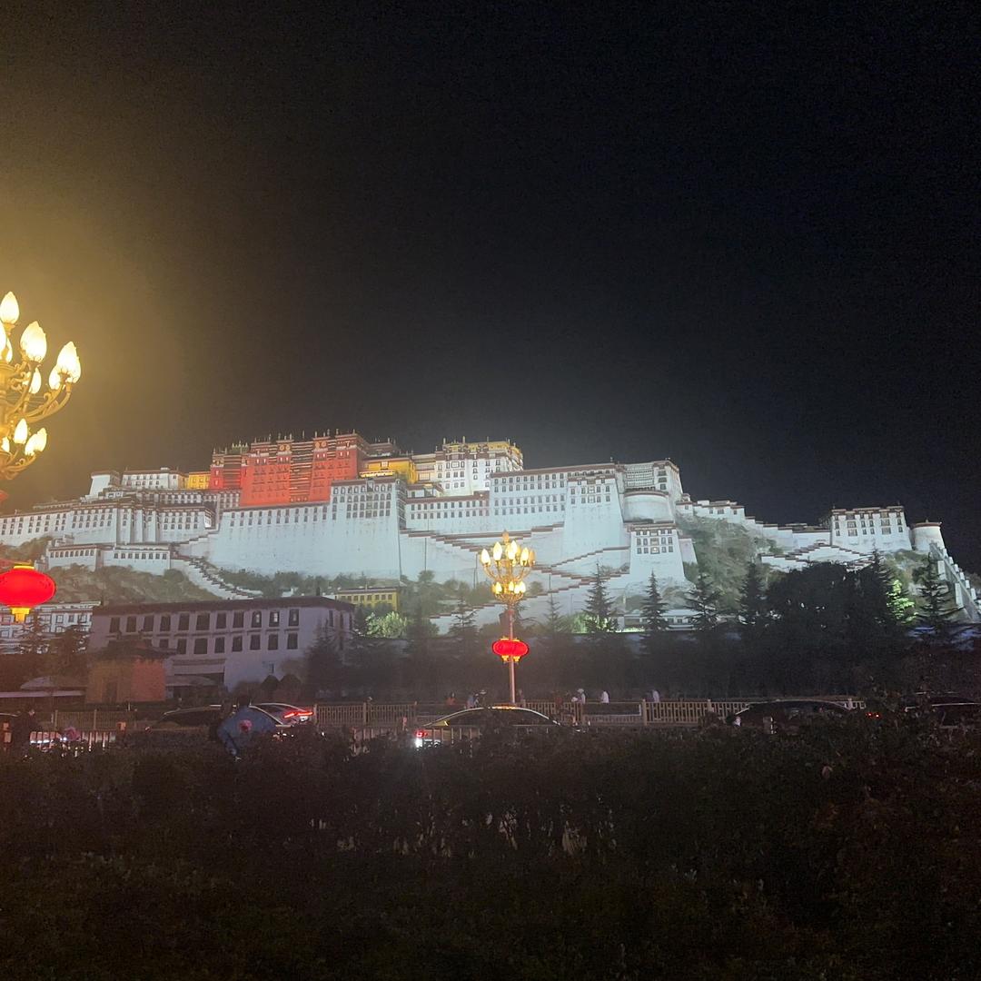 新疆驼奶粉总店