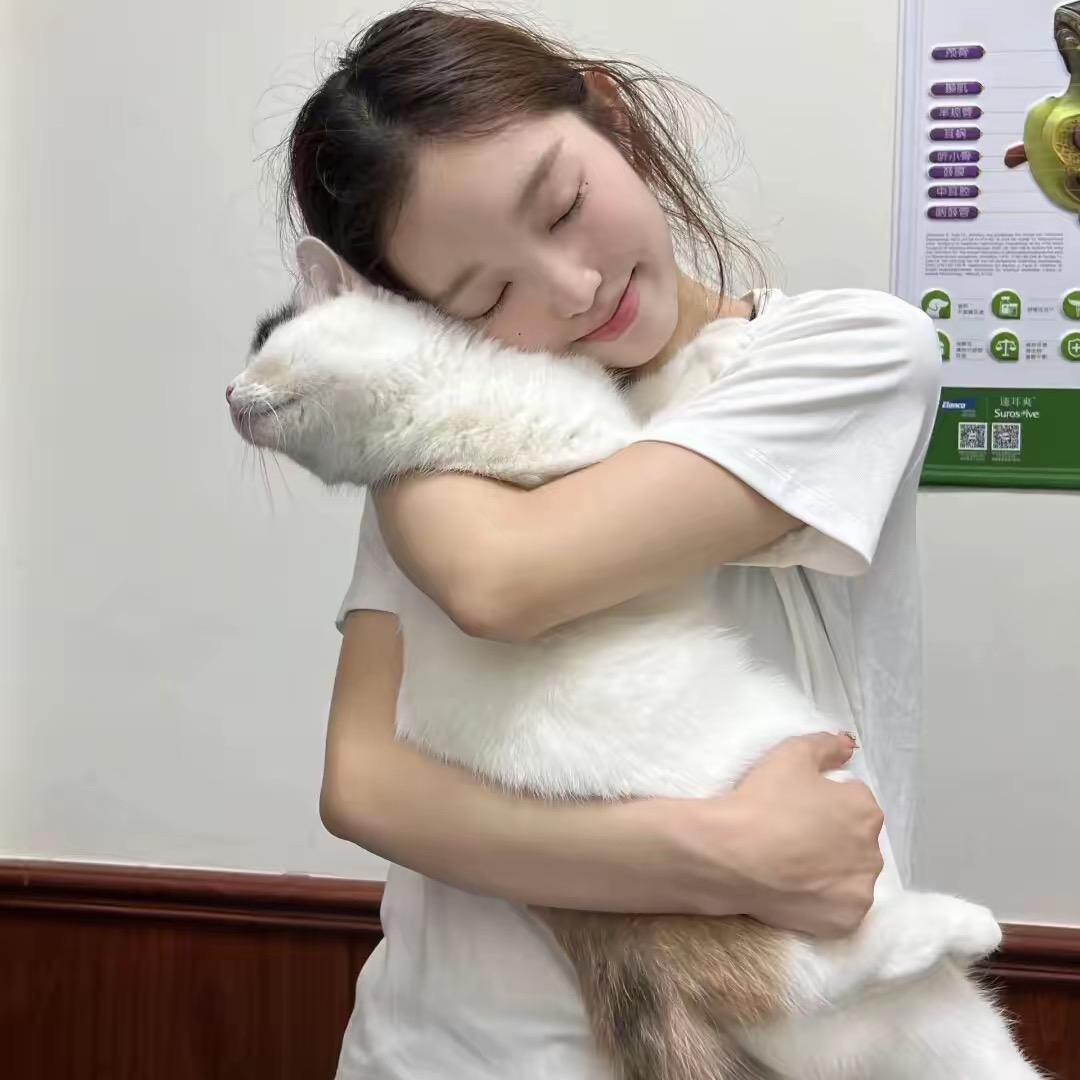^秦罗敷