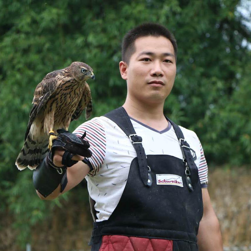 一龙老师