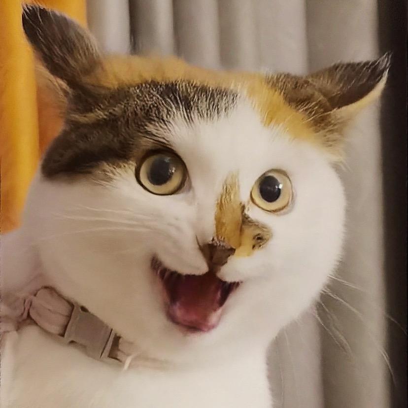 吸个大兮瓜