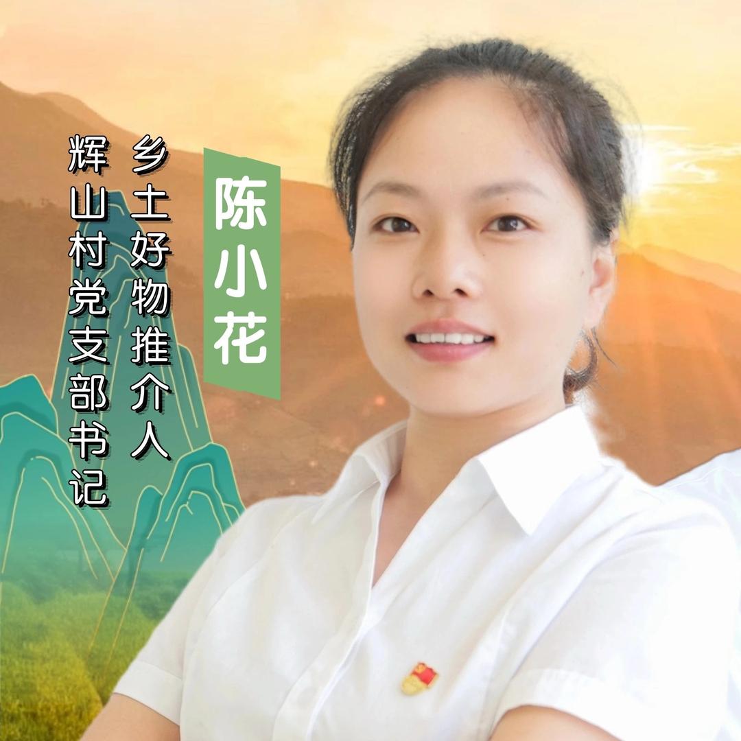 辉山村小花书记