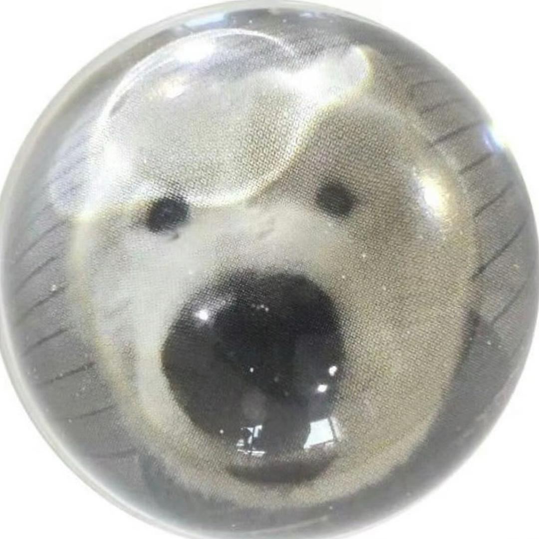 阳光拌番茄