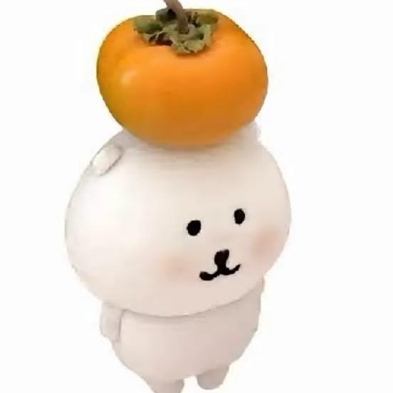 煎饼狗子つ᎔-