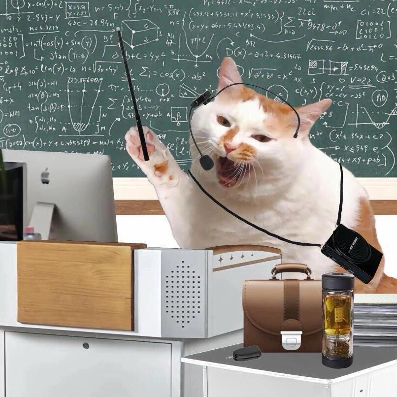 多多自然流课代表-迈哥