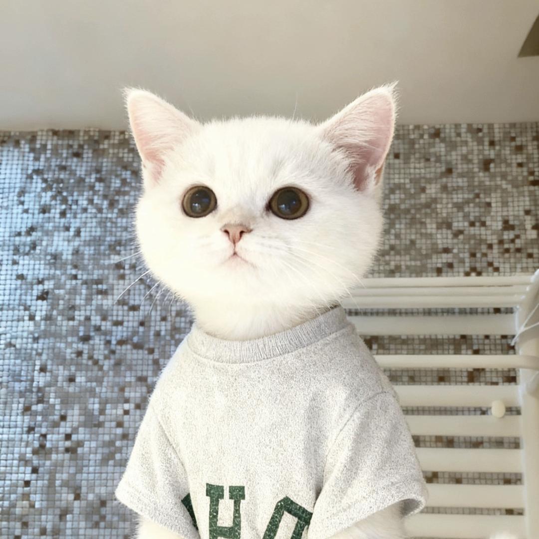 林芷伊kiwi@抖音