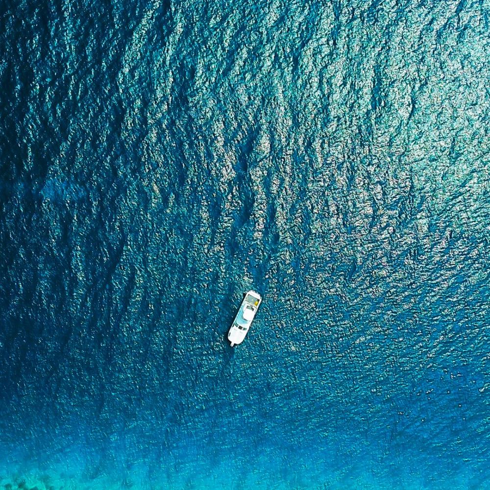 🌊心海无界🌊