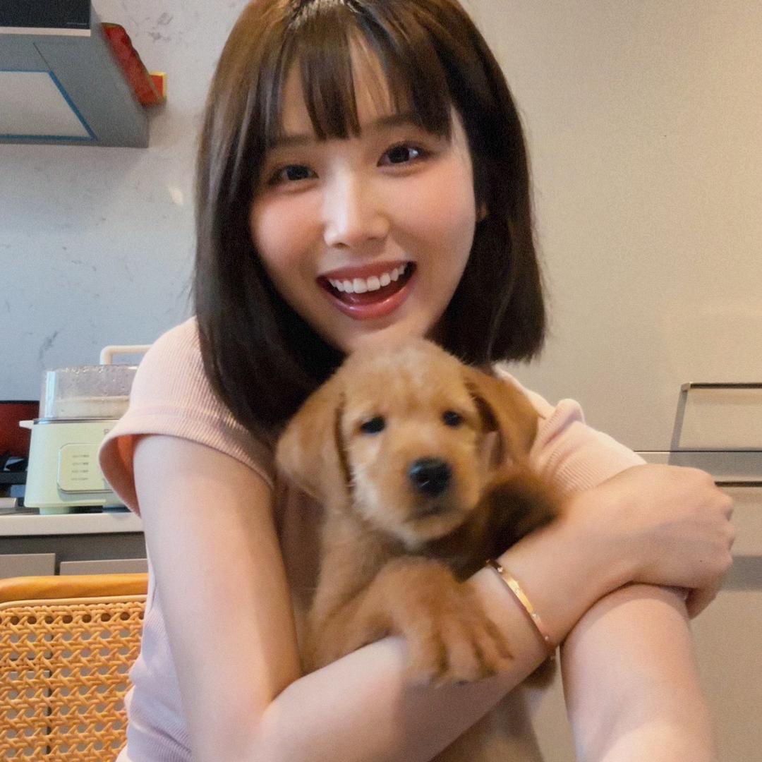 喵喵不卖曲奇饼干