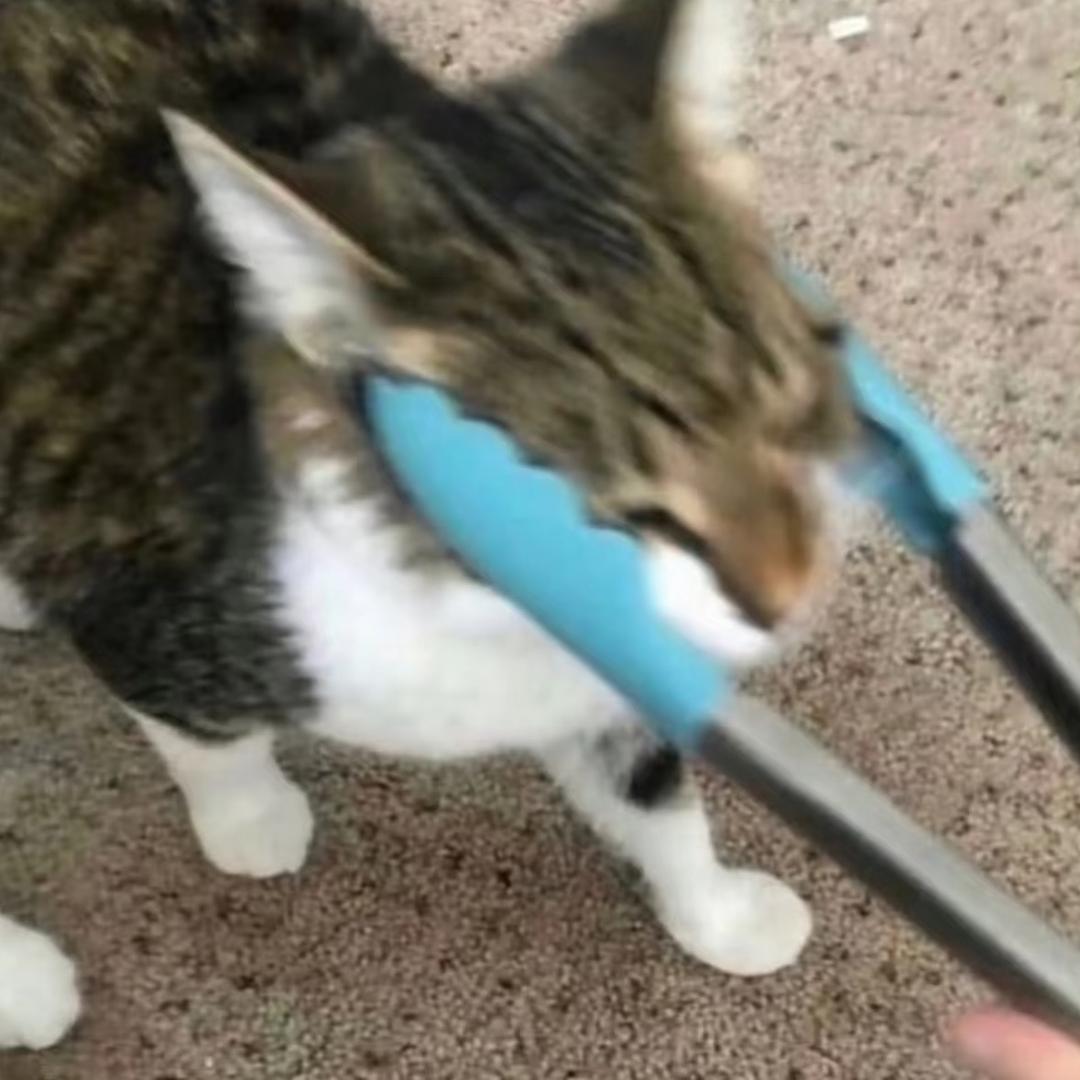 口苗口苗口苗。