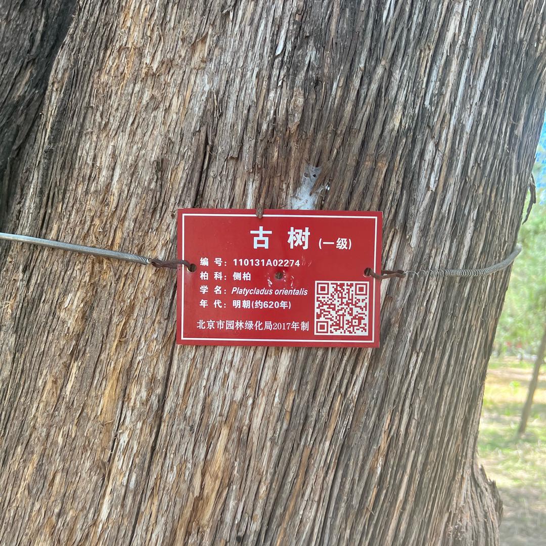 我很神秘