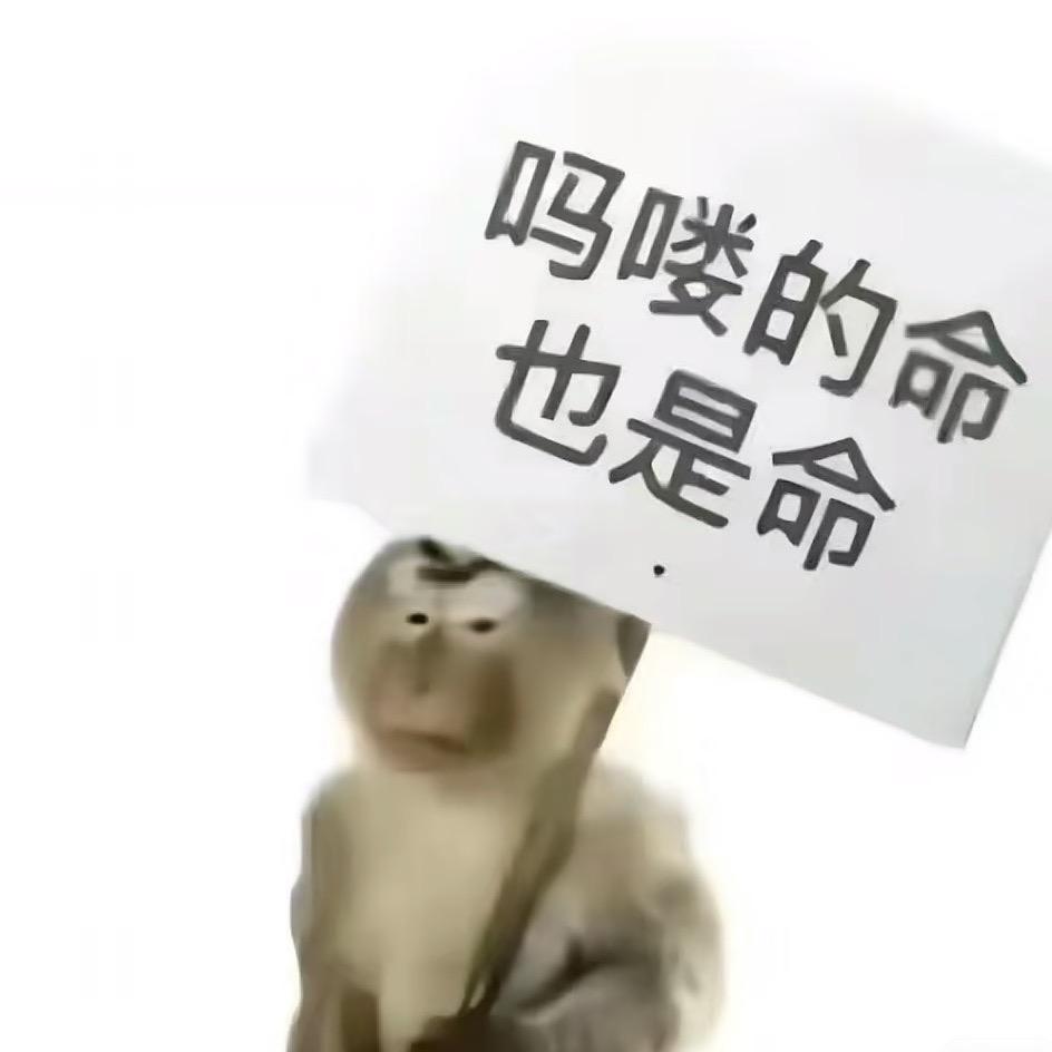 吗喽的命也是命.