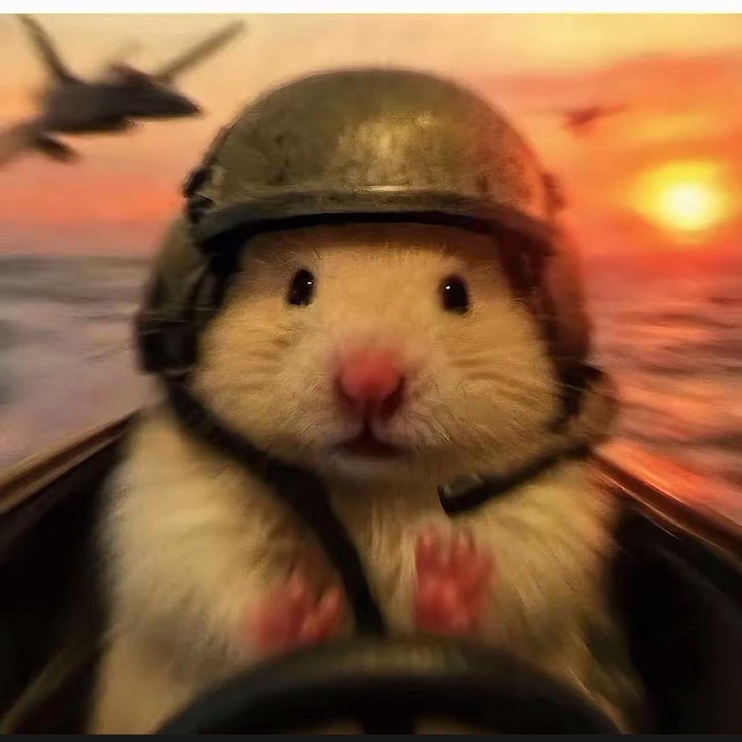 取代（三角洲行动）