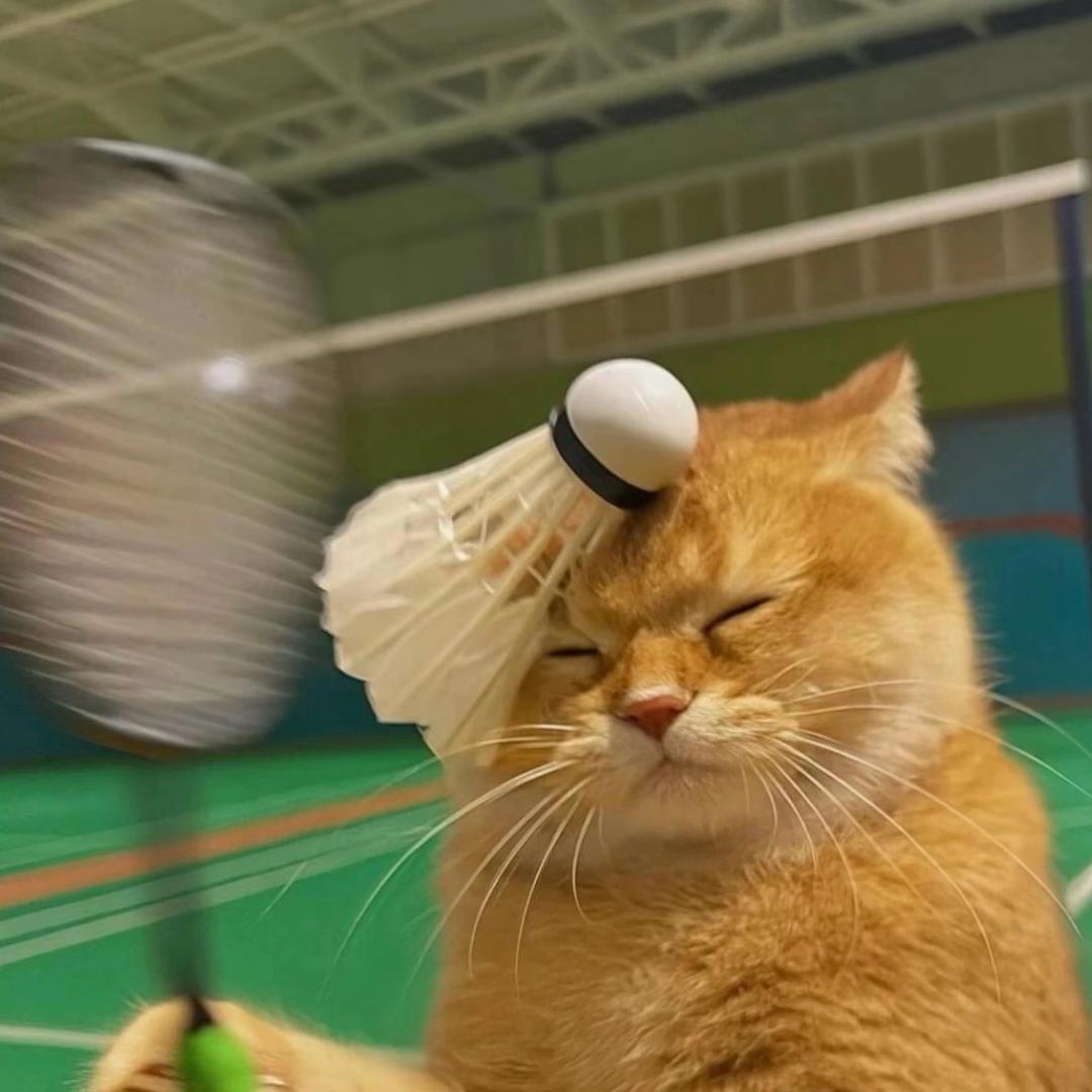 林本