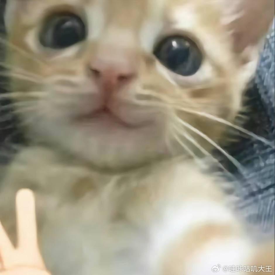 不想回消息