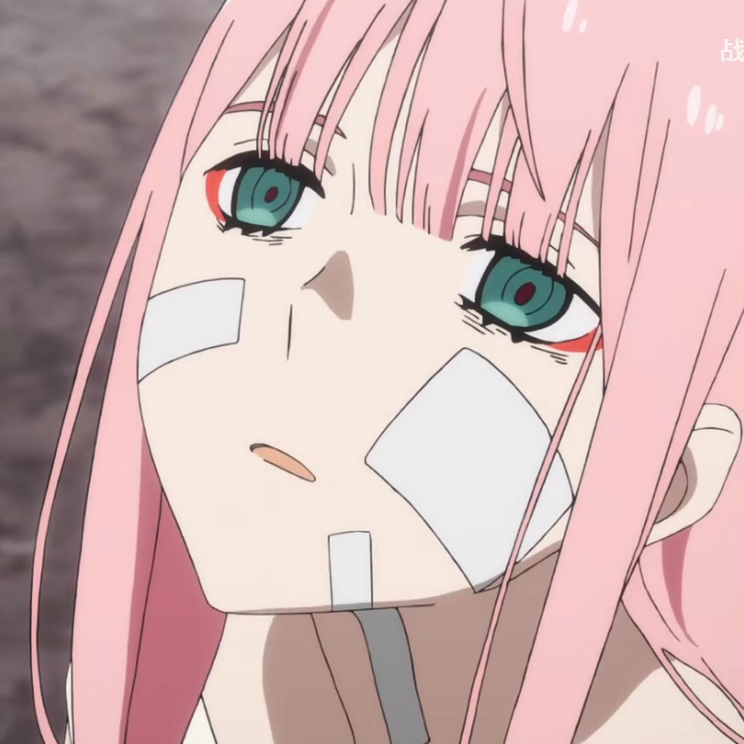 Www鸷