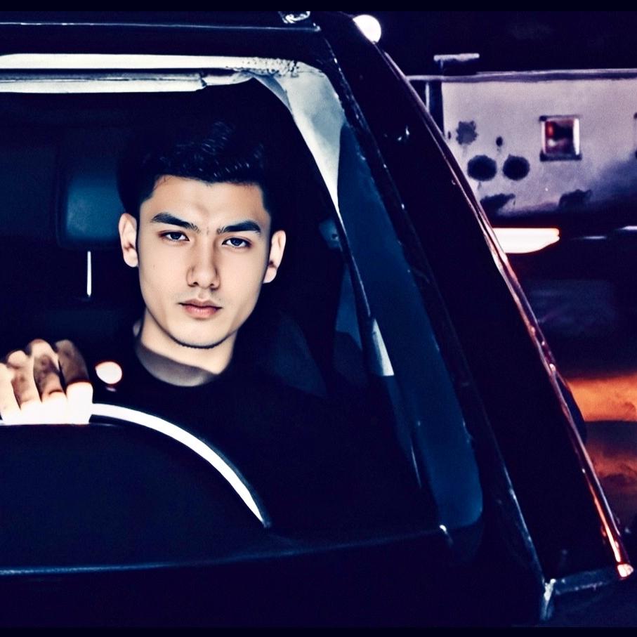 Zinnat 二手车