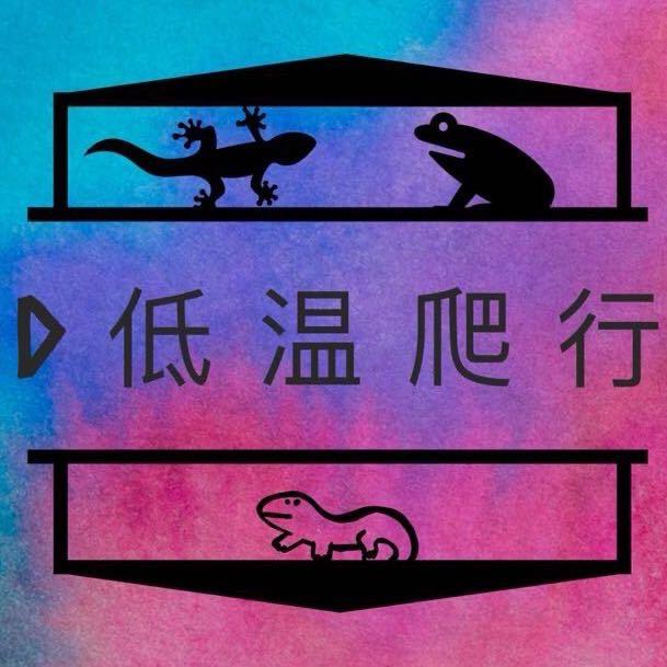 低温爬行（大盛）