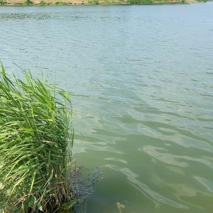 水产养殖刘老师