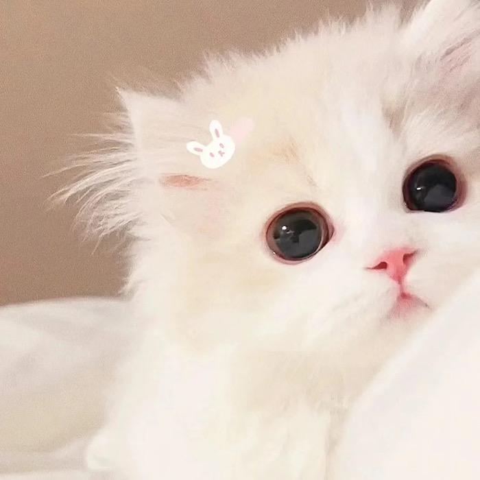 美小夕🦋ｏ᭄゛