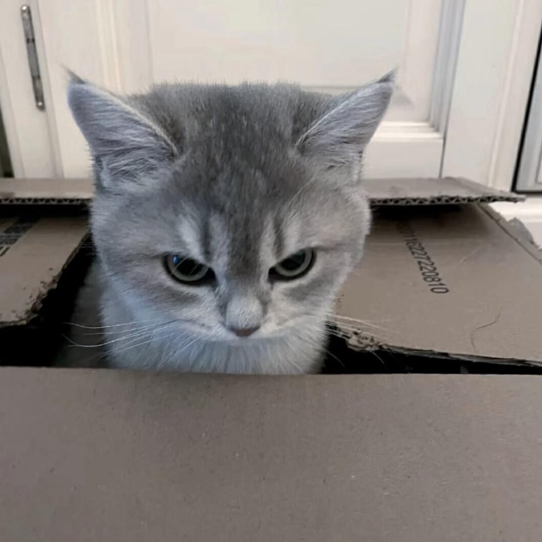 z🌧️