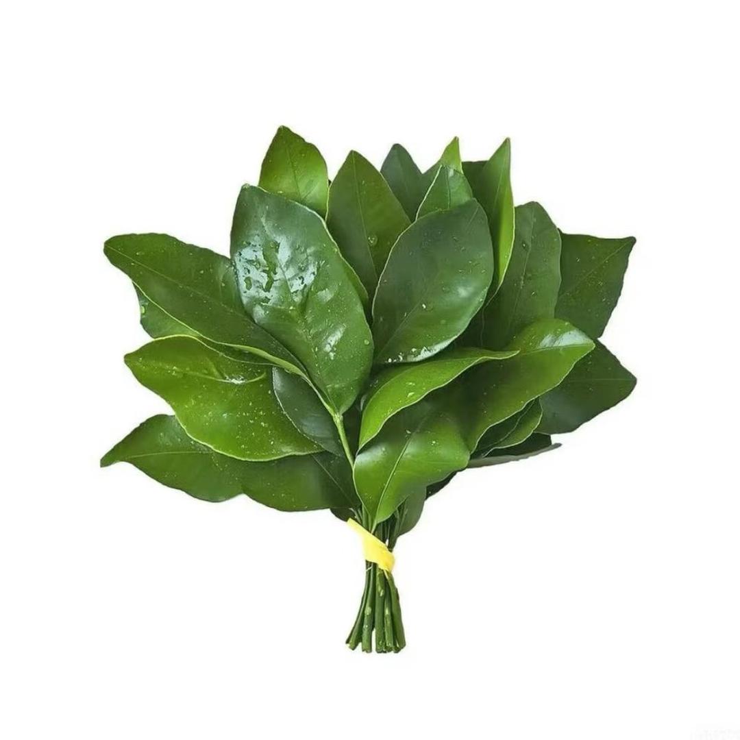 恩恩