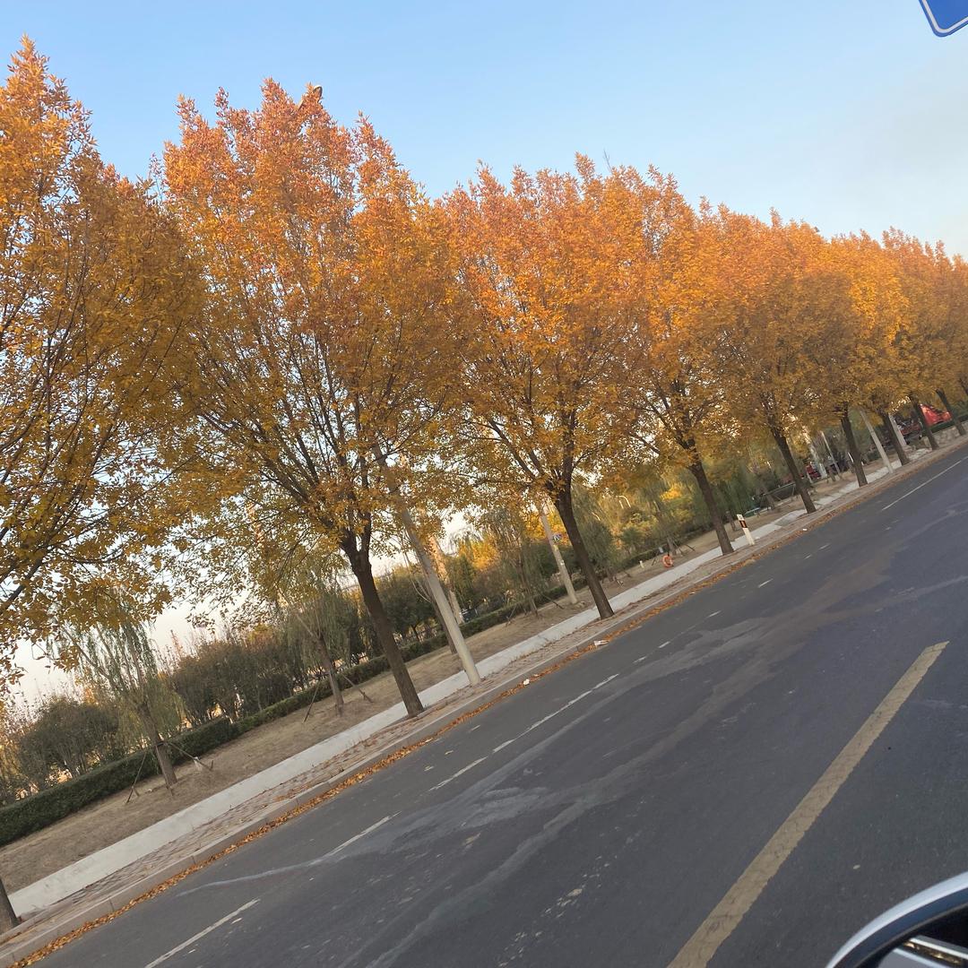 创维  正泰  户用工商业光伏