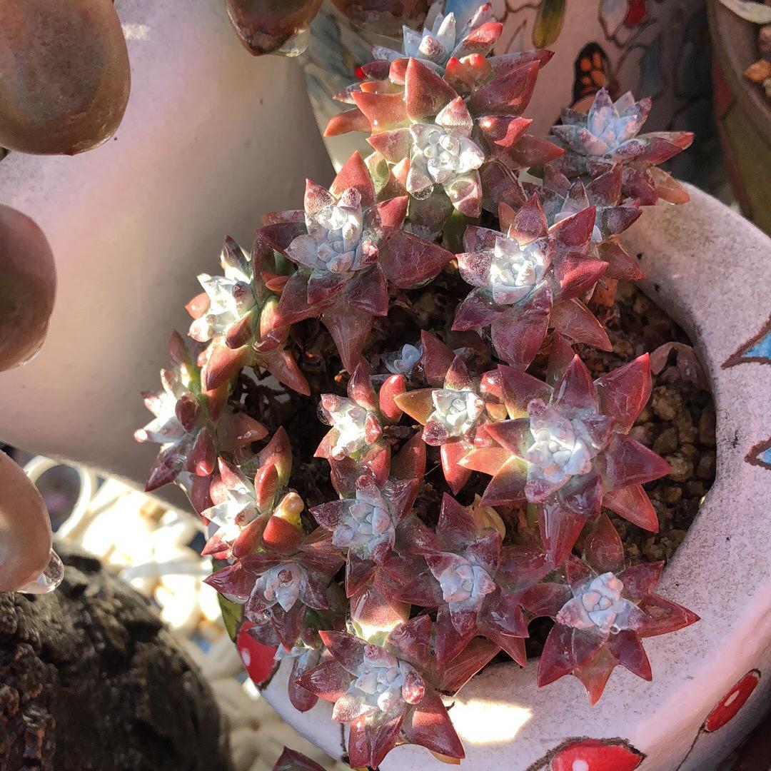 懿艾珊💕