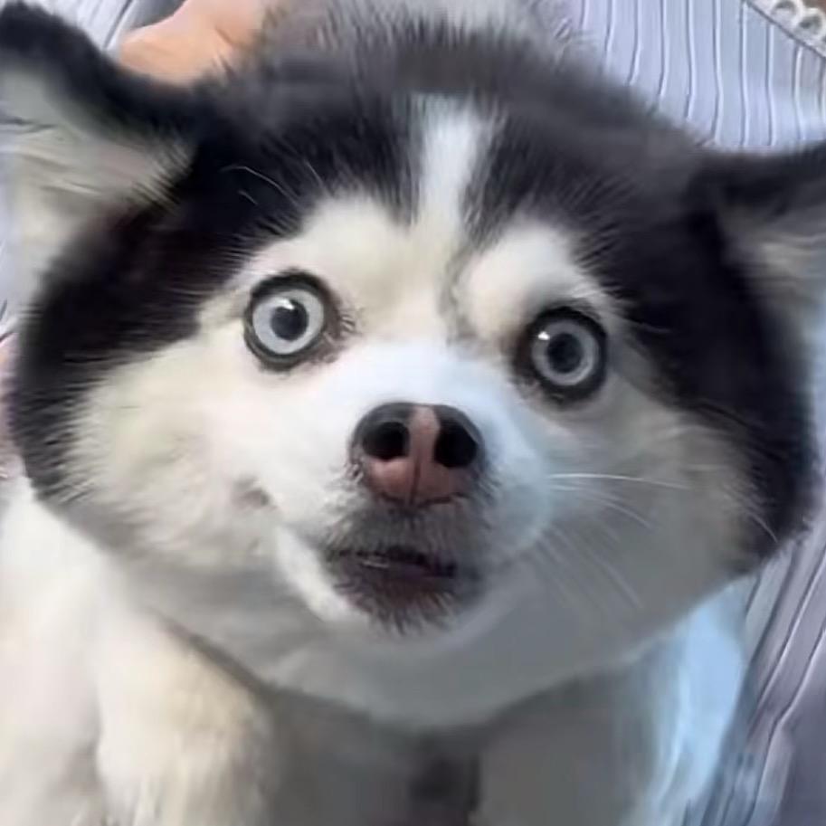 墨晗
