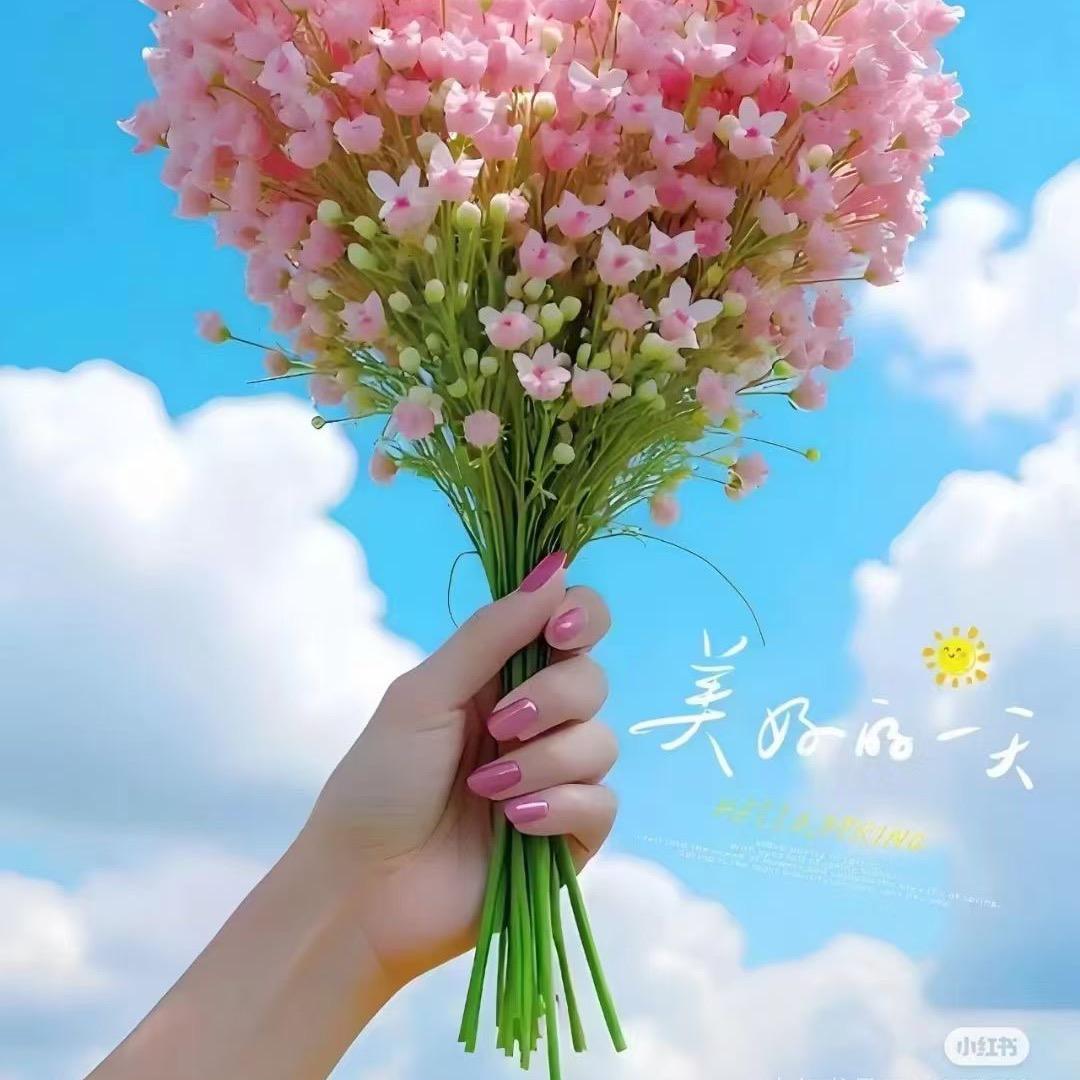 蓉蓉