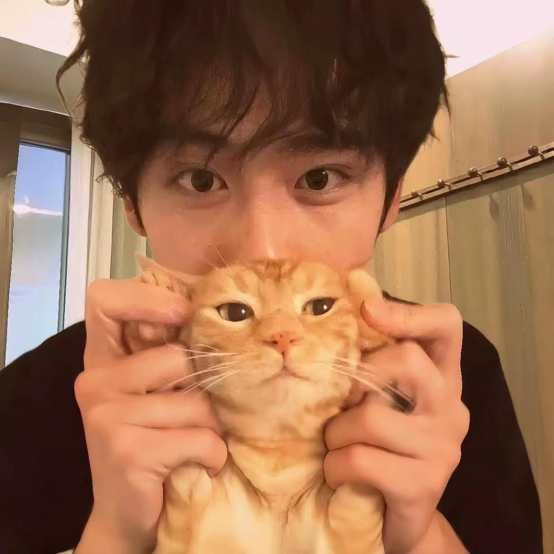 卓❣️