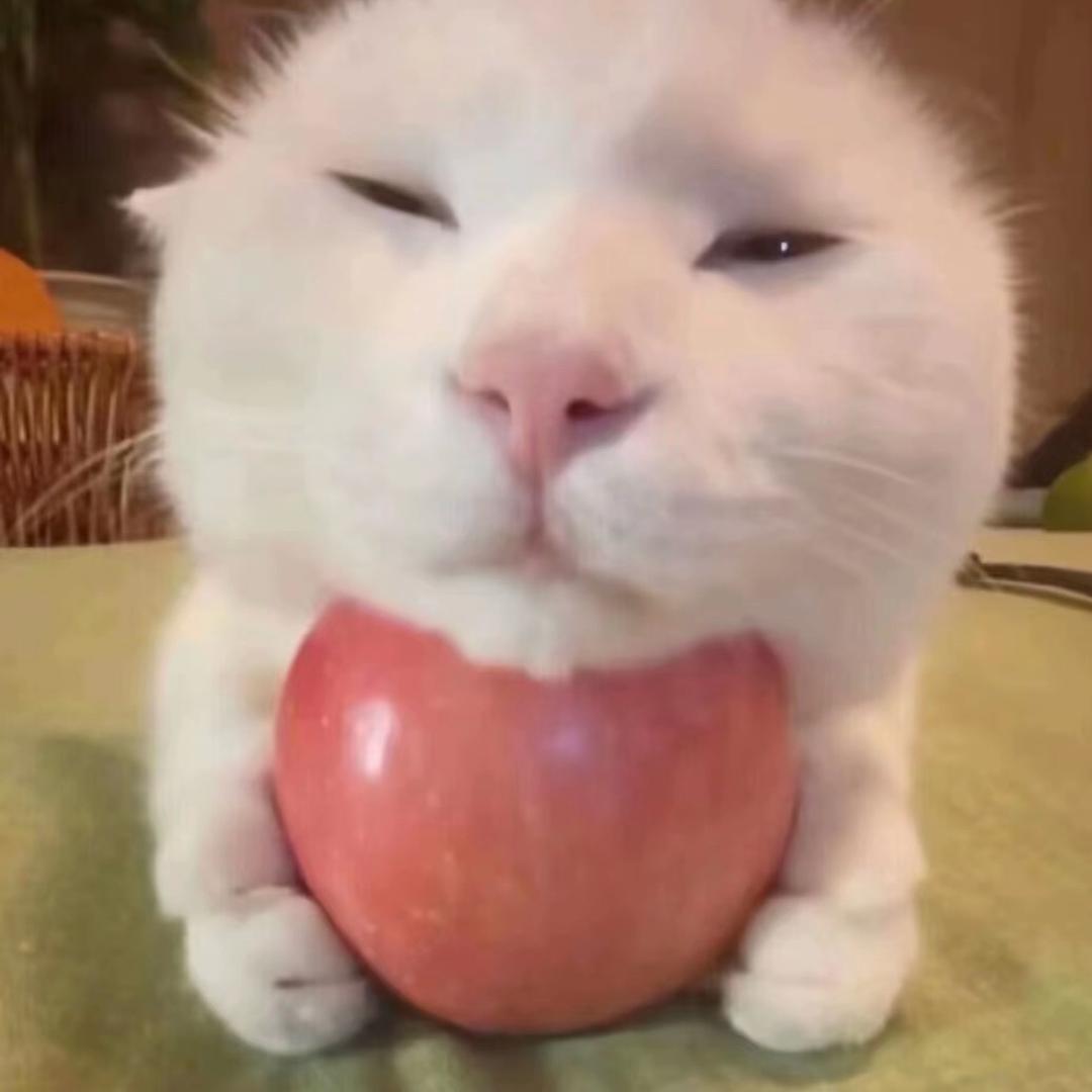 姜文涛
