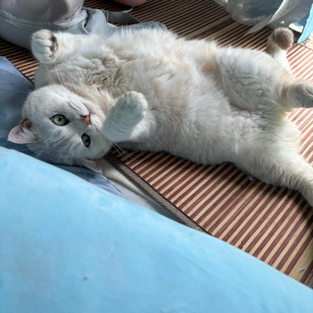 嗯呐i（生活细碎版）