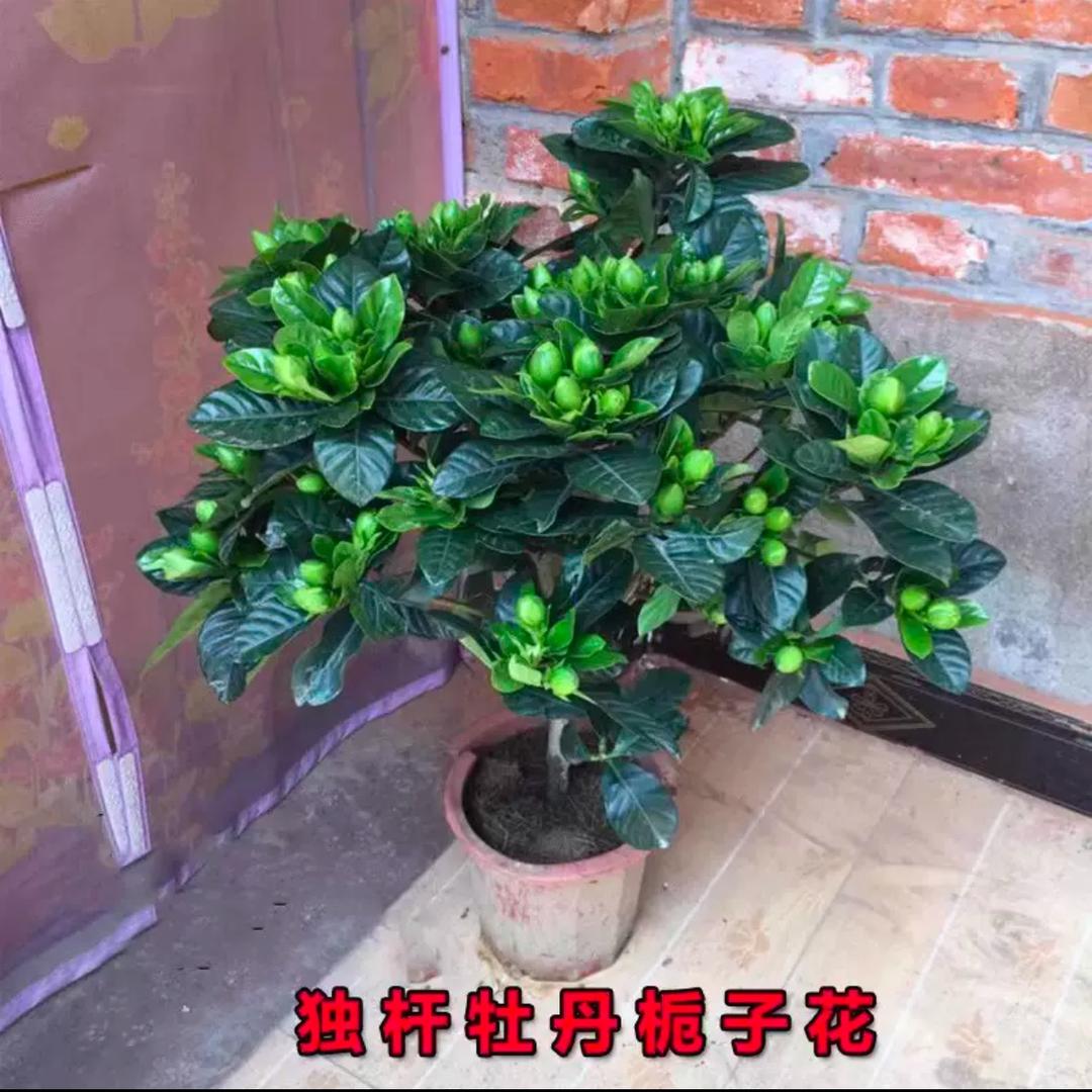兄弟餐馆