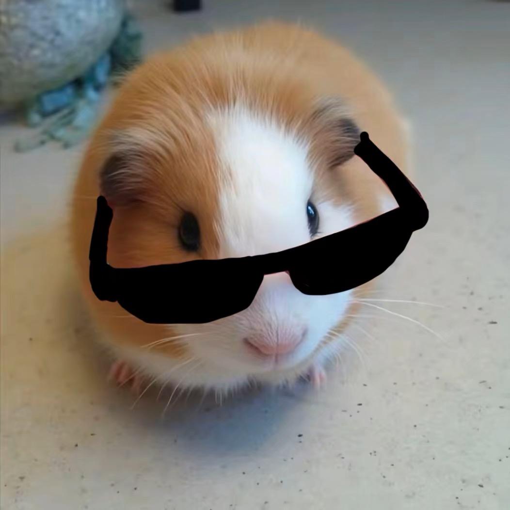 许弋