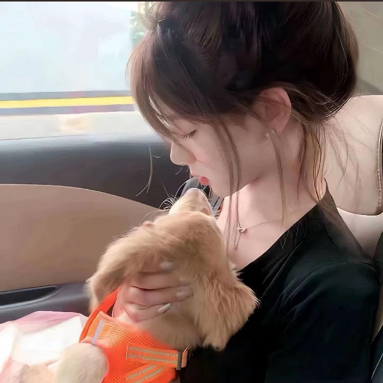 木森臻品优选❤️