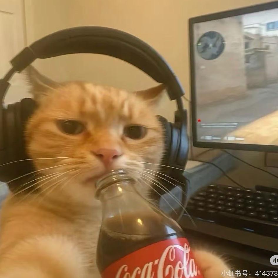 在你和天空之间