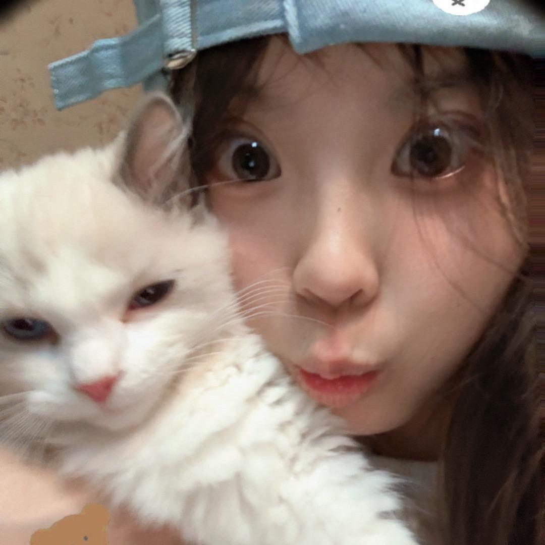 做一只猫🐱