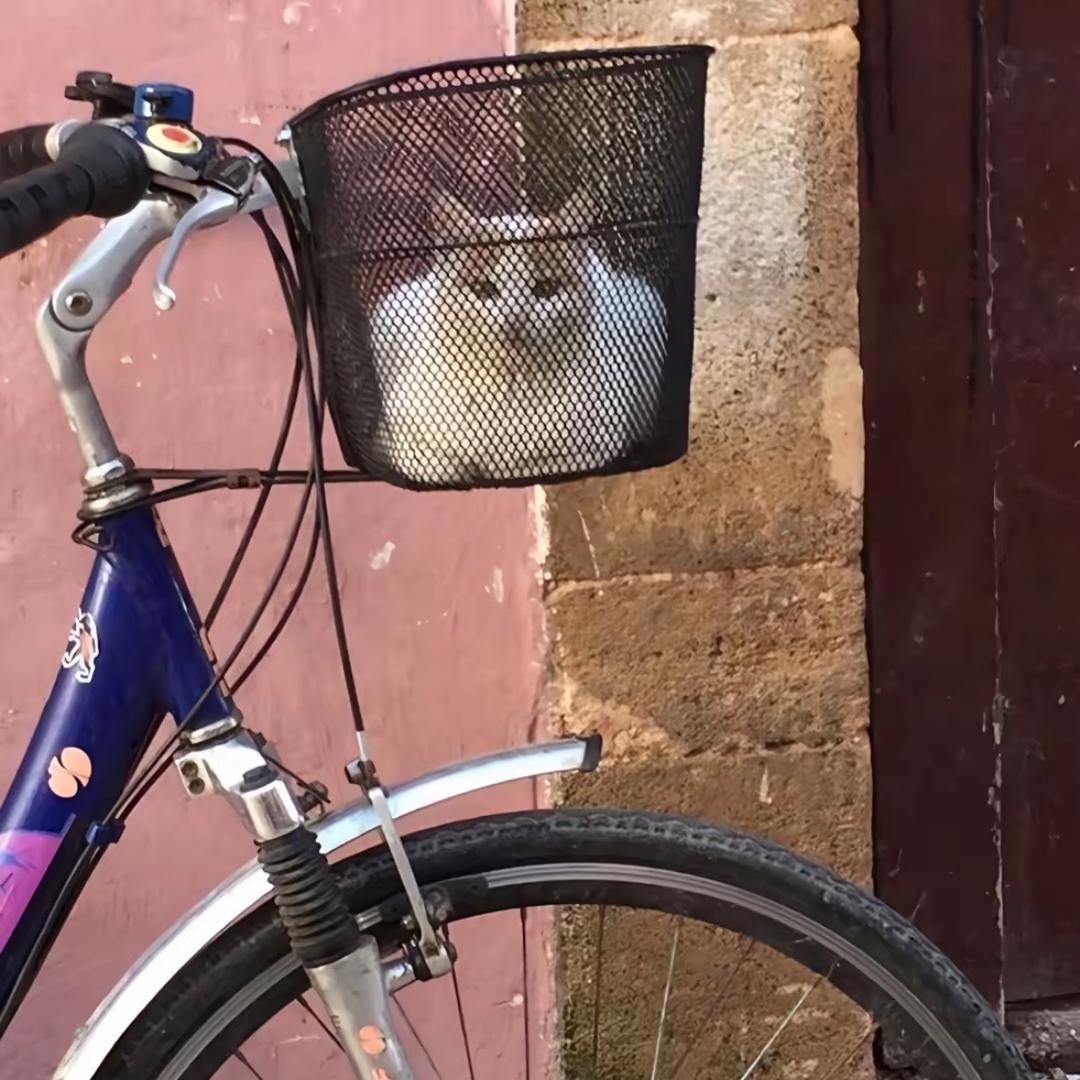 我支持